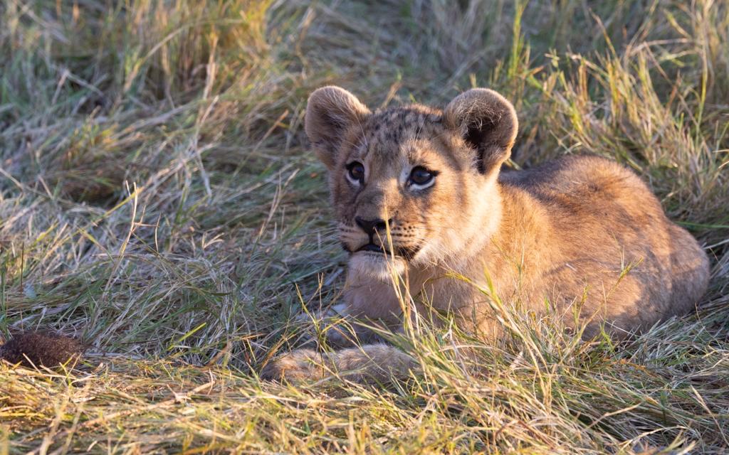 Is Tanzania Safe for Solo Female Travelers? (A Complete Guide)